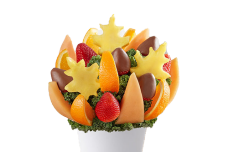 Fruit Workz